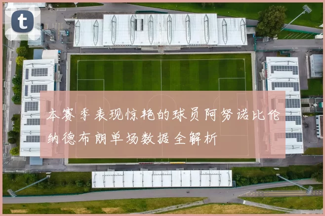 本赛季表现惊艳的球员阿努诺比伦纳德布朗单场数据全解析